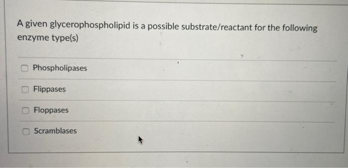 A Given Glycerophospholipid Is A Possible Substrate Reactant For The Following Enzyme Type S Phospholipases Flippases F 1