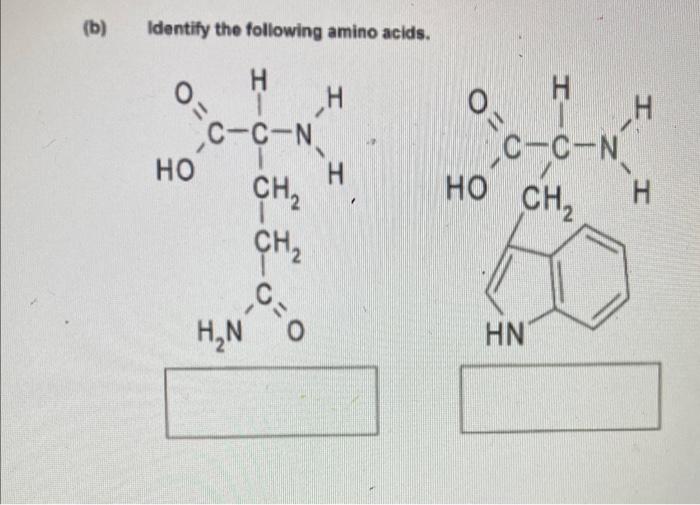 B Identify The Following Amino Acids 0 0 Ho Hic H N H C C N Ch Ch C I I Fo H H C C N Ho Ch H 0 Hn I H 1