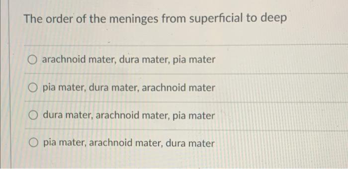 The Order Of The Meninges From Superficial To Deep O Arachnoid Mater Dura Mater Pia Mater O Pia Mater Dura Mater Ara 1