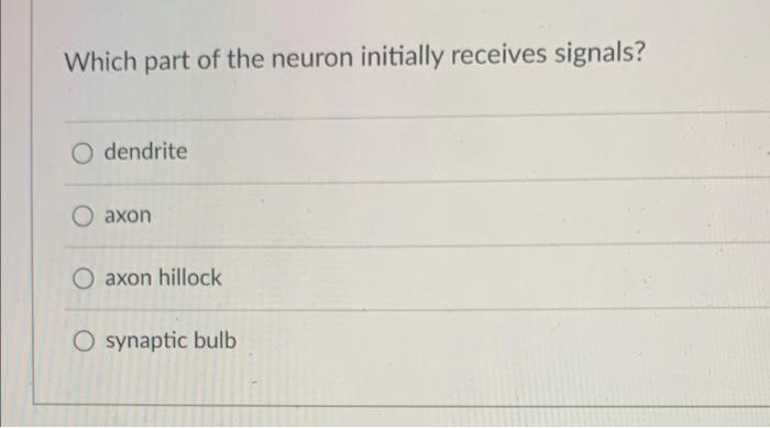 The Order Of The Meninges From Superficial To Deep O Arachnoid Mater Dura Mater Pia Mater O Pia Mater Dura Mater Ara 2