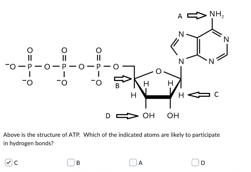 Can Someone Explain This Please 1