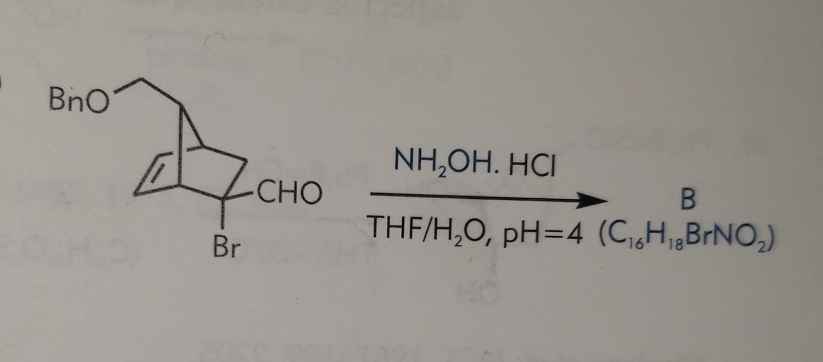 I Need The Oxime Formation Mechanism And The Beckmann Rearrangement Mechanism 1