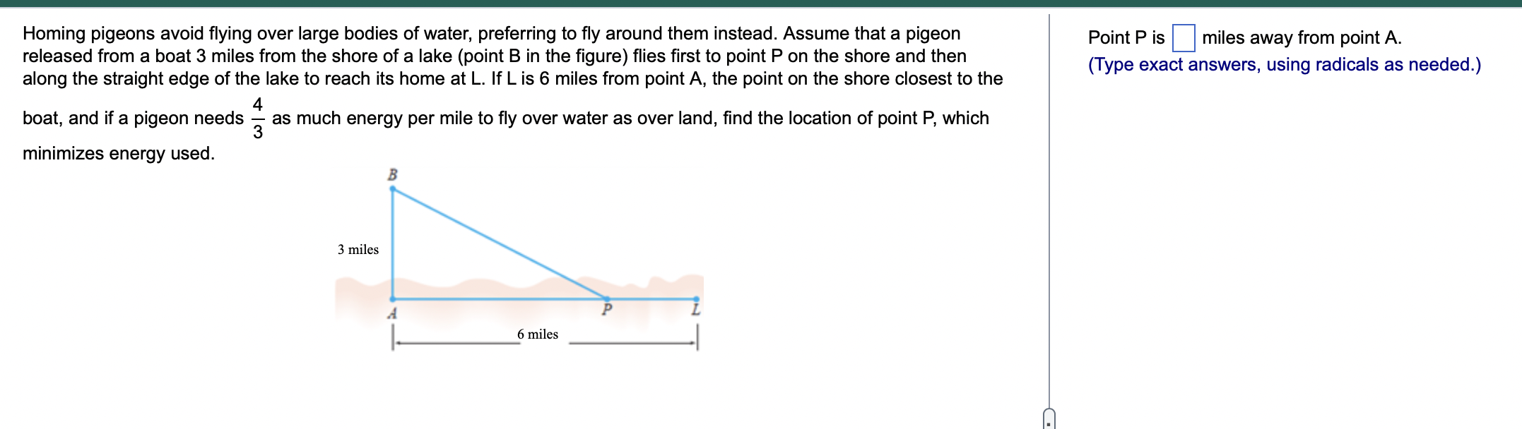 Homing Pigeons Avoid Flying Over Large Bodies Of Water Preferring To Fly Around Them Instead Assume That A Pigeon Rele 1