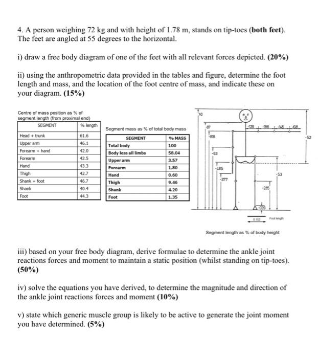 4 A Person Weighing 72 Kg And With Height Of 1 78 M Stands On Tip Toes Both Feet The Feet Are Angled At 55 Degrees 1