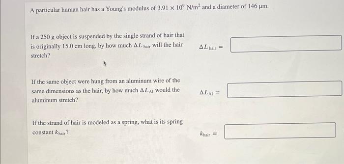 A Particular Human Hair Has A Young S Modulus Of 3 91 X 10 N M And A Diameter Of 146 Um If A 250 G Object Is Suspende 1