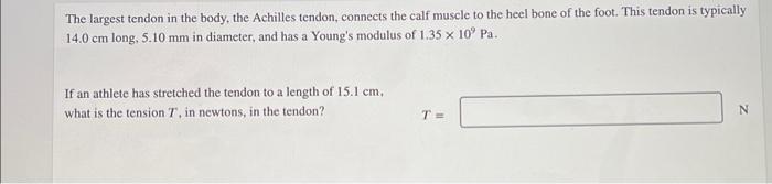 The Largest Tendon In The Body The Achilles Tendon Connects The Calf Muscle To The Heel Bone Of The Foot This Tendon 1