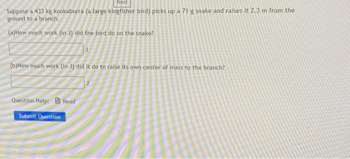 Next Suppose A 433 Kg Kookaburra A Large Kingfisher Bird Picks Up A 71 G Snake And Raises It 2 3 M From The Ground To 1