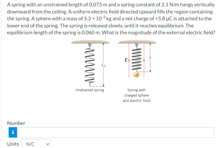 A Spring With An Unstrained Length Of 0 073 M And A Spring Constant Of 2 1 N M Hangs Vertically Downward From The Ceilin 1