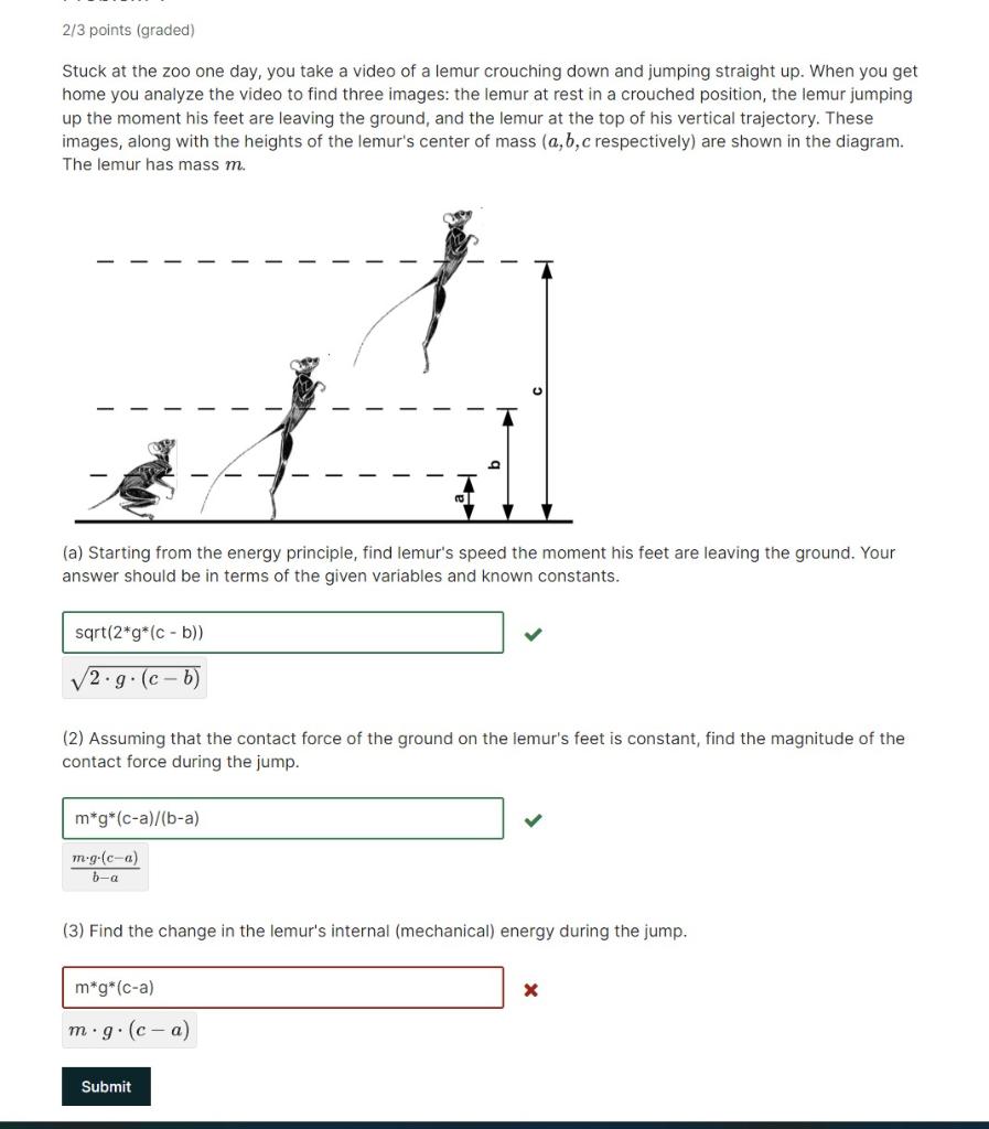 2 3 Points Graded Stuck At The Zoo One Day You Take A Video Of A Lemur Crouching Down And Jumping Straight Up When Y 1