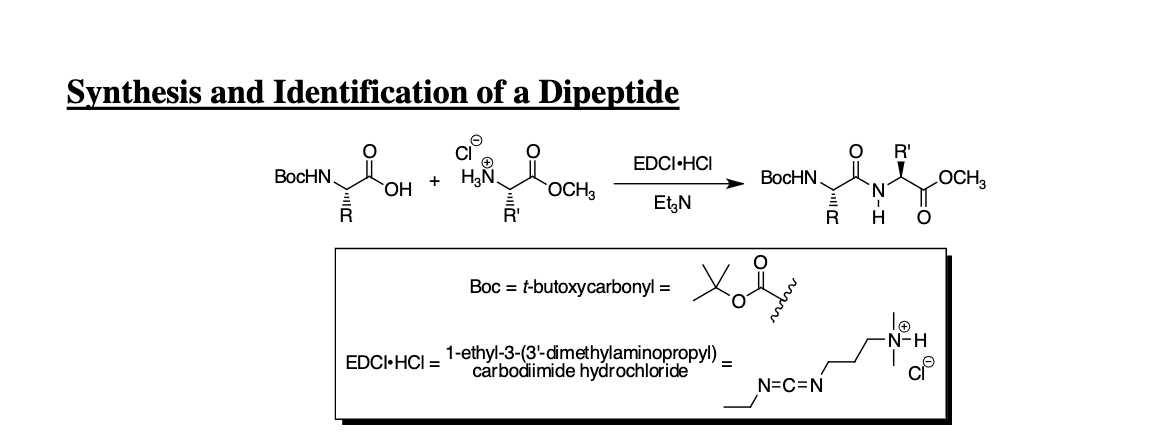 Identify The Two Amino Acids Created By These Dipeptides And Label All Of The Peaks In The H Nmr And C Nmr 1