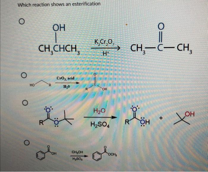 What Is The Common Name Of The Following Compound Ch3 N Name The Following Compound Which Reaction Shows An Esterifi 3