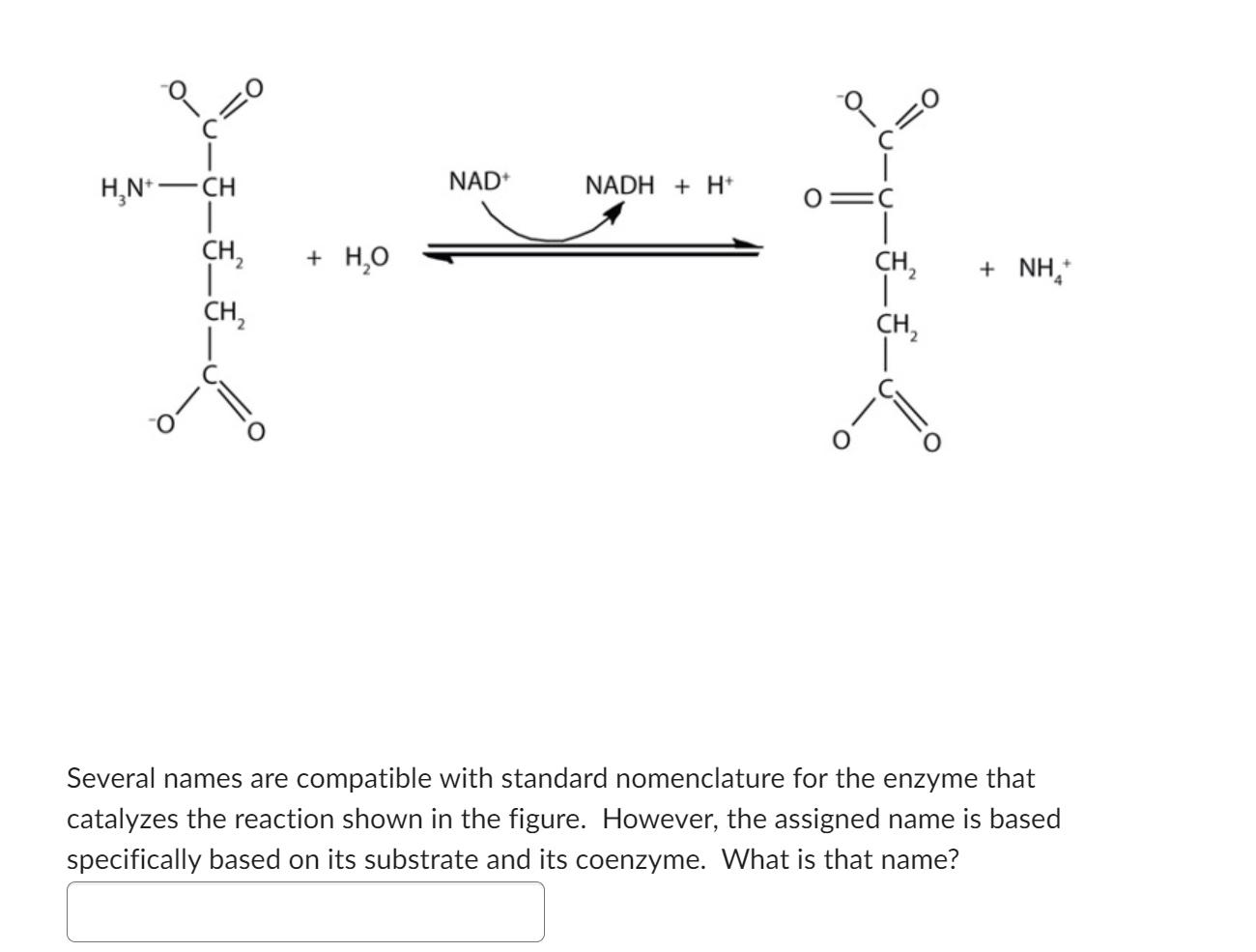H N Ch Ch Ch 2 H O Nad Nadh H O C 0 01c Ch Ch Nh Several Names Are Compatible With Standard Nomenclature 1