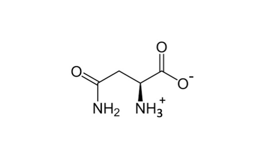 Nh2 Nh3 1