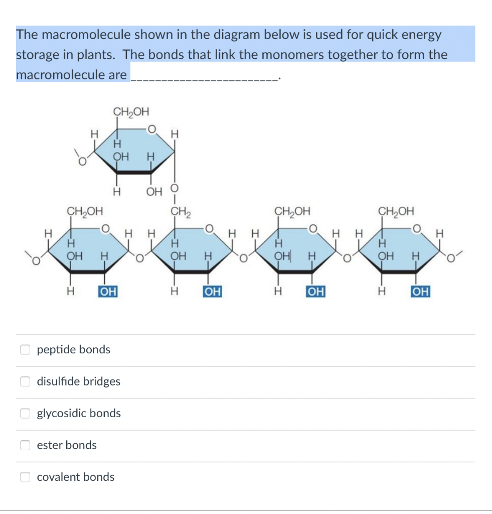 The Macromolecule Shown In The Diagram Below Is Used For Quick Energy Storage In Plants The Bonds That Link The Monomer 1