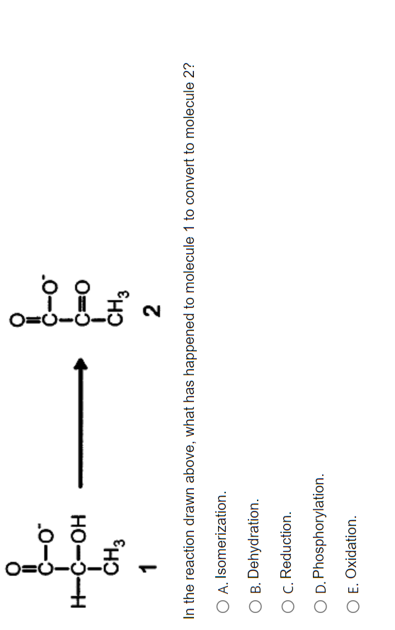 C O H C Oh I Ch3 1 O C C C O C O Ch3 2 In The Reaction Drawn Above What Has Happened To Molecule 1 To Convert To Molecu 1
