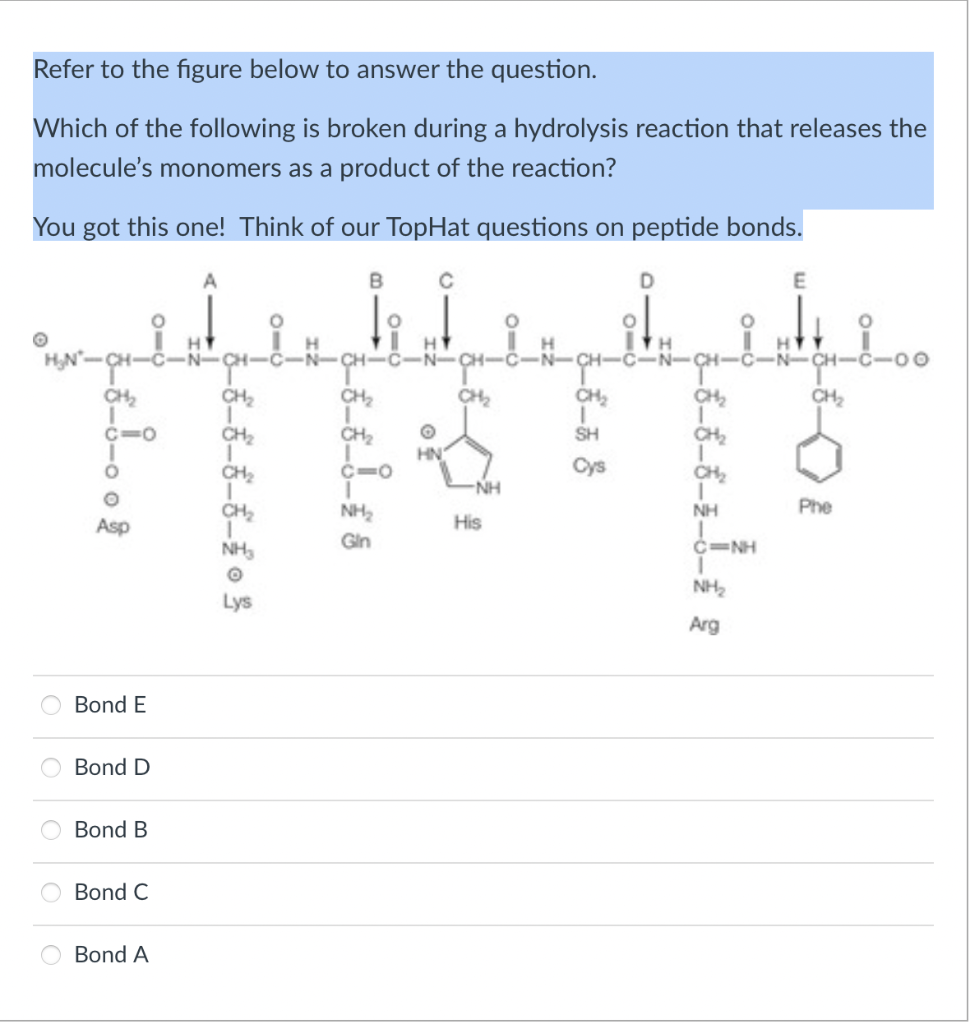 Refer To The Figure Below To Answer The Question Which Of The Following Is Broken During A Hydrolysis Reaction That Rel 1