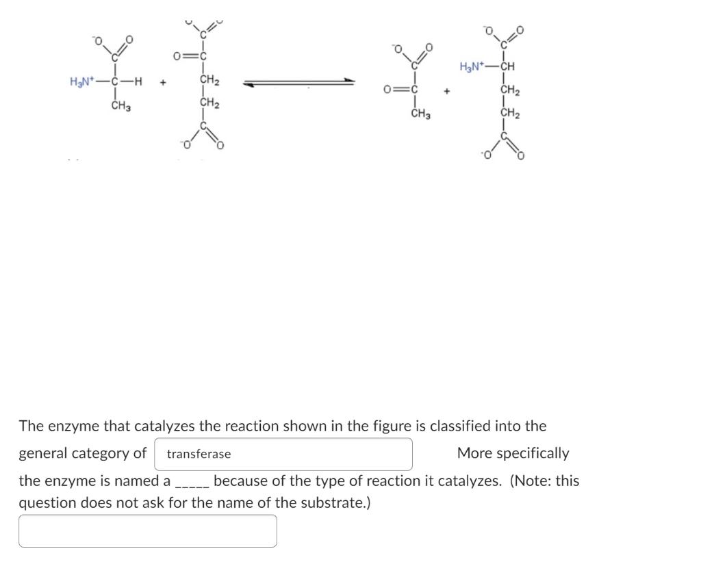 Ch2 Ch2 H N H Ch3 Ch3 888 The Enzyme That Catalyzes The Reaction Shown In The Figure Is Classified Into The Genera 1