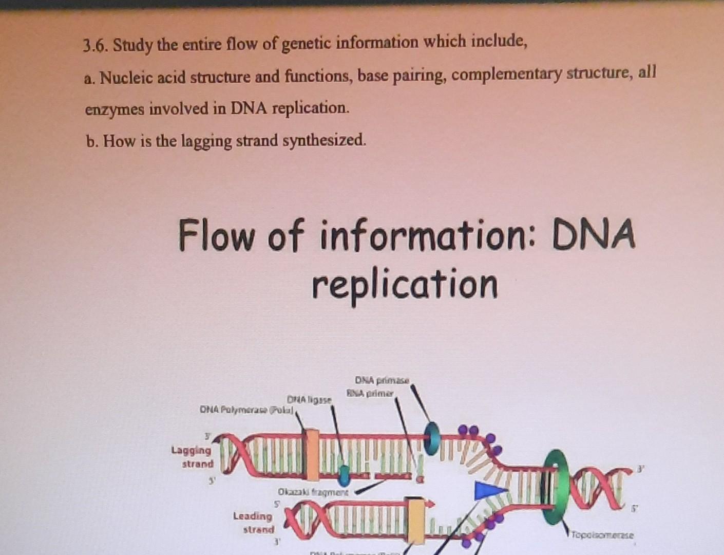 3 6 Study The Entire Flow Of Genetic Information Which Include A Nucleic Acid Structure And Functions Base Pairing 1