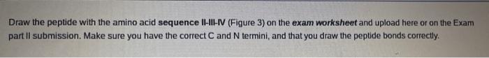 What Are The Names For Amino Acids I Iv In Figure 3 Amino Acid I Amino Acid Ii Amino Acid Iii Amino Acid Iv Figur 2