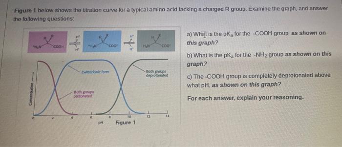 Figure 1 Below Shows The Titration Curve For A Typical Amino Acid Lacking A Charged R Group Examine The Graph And Answ 1