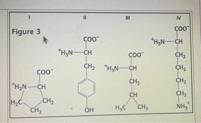Does Amino Acid I In Figure 3 Above At Physiological Ph Display Resonance A At The Amino Group Select B At The Car 2