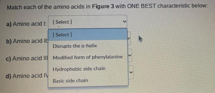 Match Each Of The Amino Acids In Figure 3 With One Best Characteristic Below A Amino Acid 1 Select Select Disrupt 1