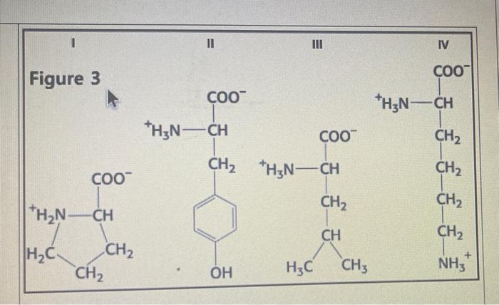 Match Each Of The Amino Acids In Figure 3 With One Best Characteristic Below A Amino Acid 1 Select Select Disrupt 2