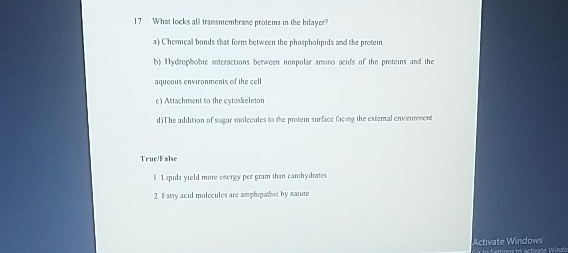 17 What Locks All Transmembrane Proteins In The Bilayer A Chemical Bonds That Form Between The Phospholipids And The P 1