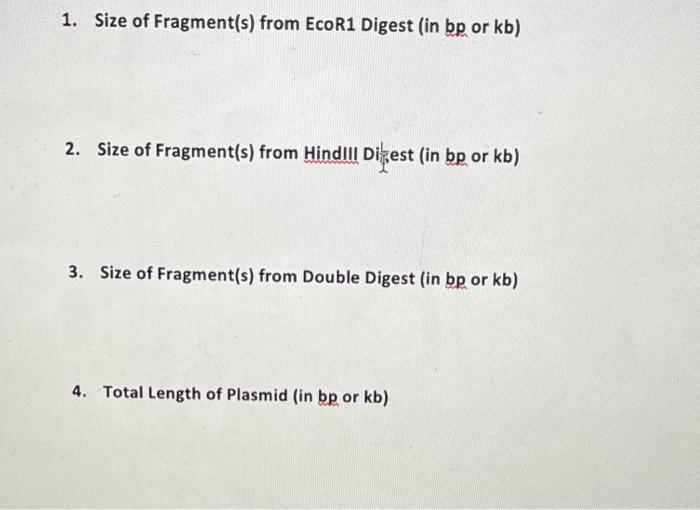 1 Size Of Fragment S From Ecor1 Digest In Bp Or Kb 2 Size Of Fragment S From Hind Dikest In Bp Or Kb 3 Size 1