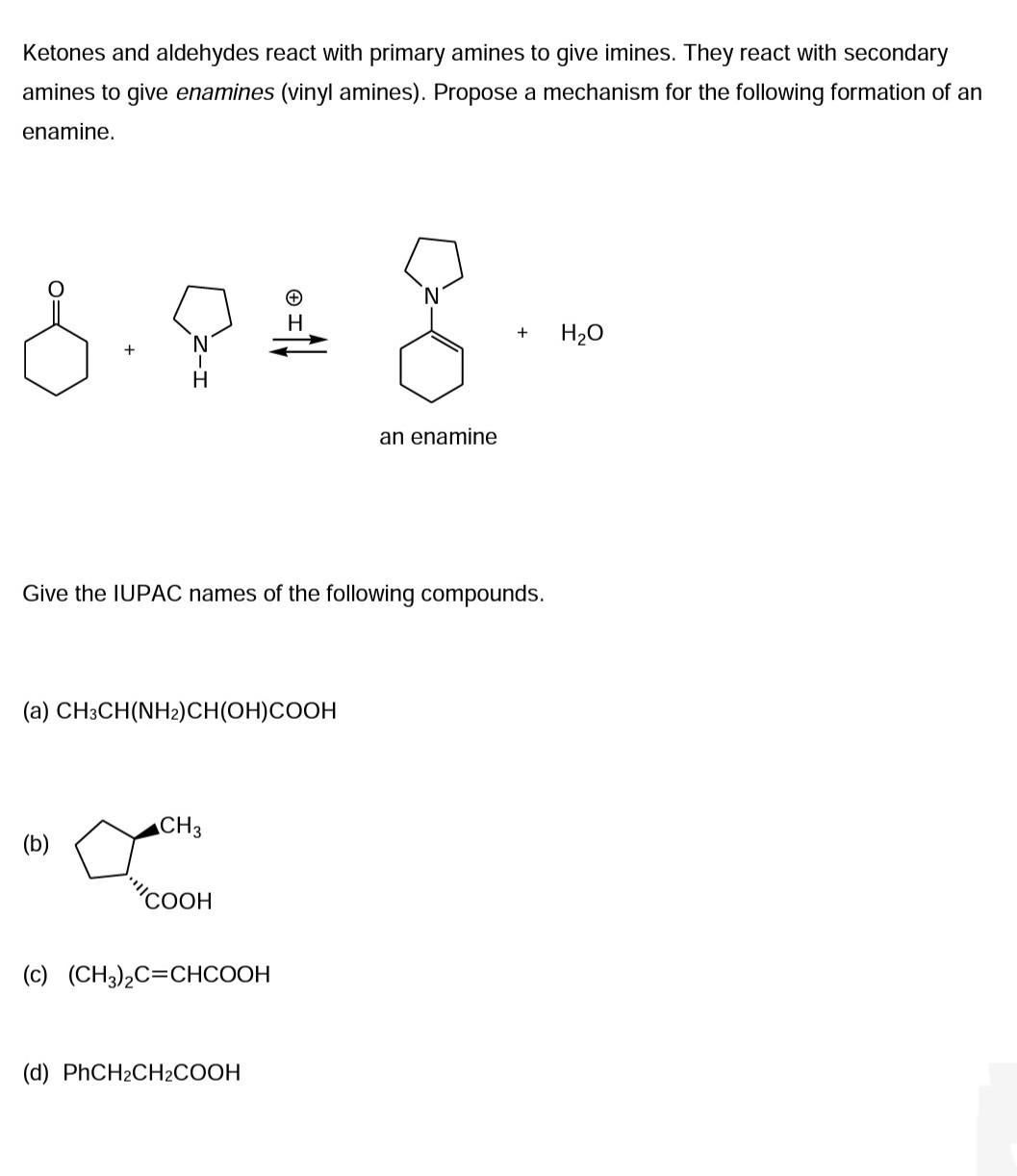 Ketones And Aldehydes React With Primary Amines To Give Imines They React With Secondary Amines To Give Enamines Vinyl 1