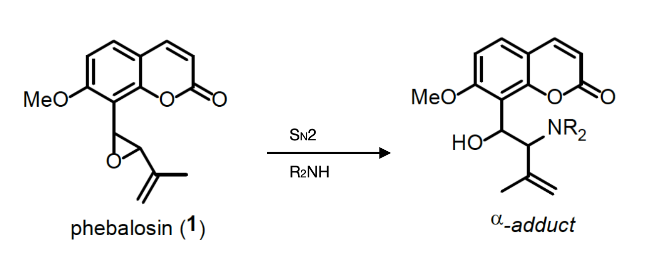 Propose A Written Step By Step Method To Synthesis This Reaction Including Reagents Quantities And Glassware Nucleophi 1