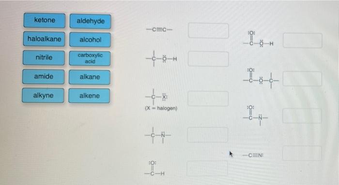 Label Each Of The Given Functional Groups Amine Ketone Haloalkane Nitrile Amide Alkyne Ester Aldehyde Alcohol Carboxyli 2