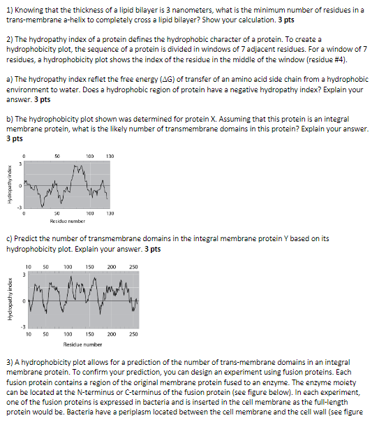 1 Knowing That The Thickness Of A Lipid Bilayer Is 3 Nanometers What Is The Minimum Number Of Residues In A Trans Memb 1