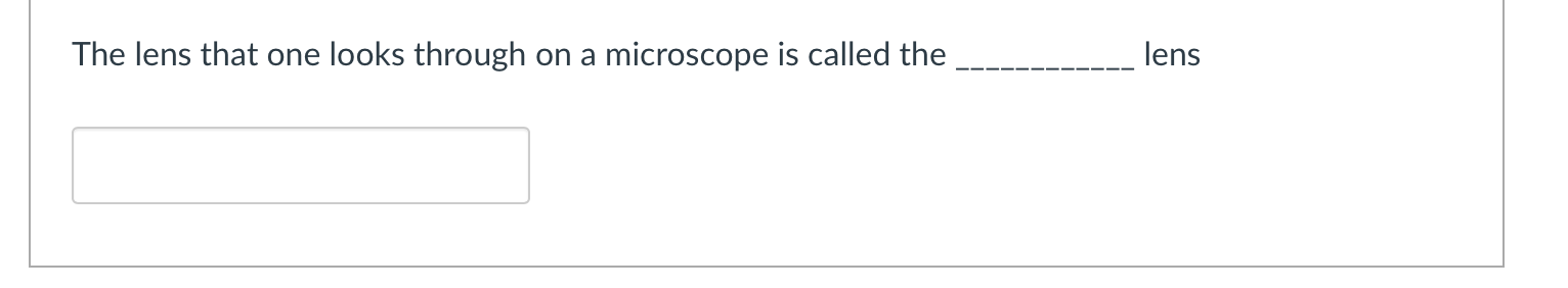 The Lens That One Looks Through On A Microscope Is Called The Lens 1
