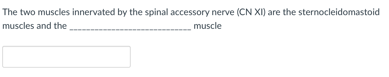 The Two Muscles Innervated By The Spinal Accessory Nerve Cn Xi Are The Sternocleidomastoid Muscles And The Muscle 1