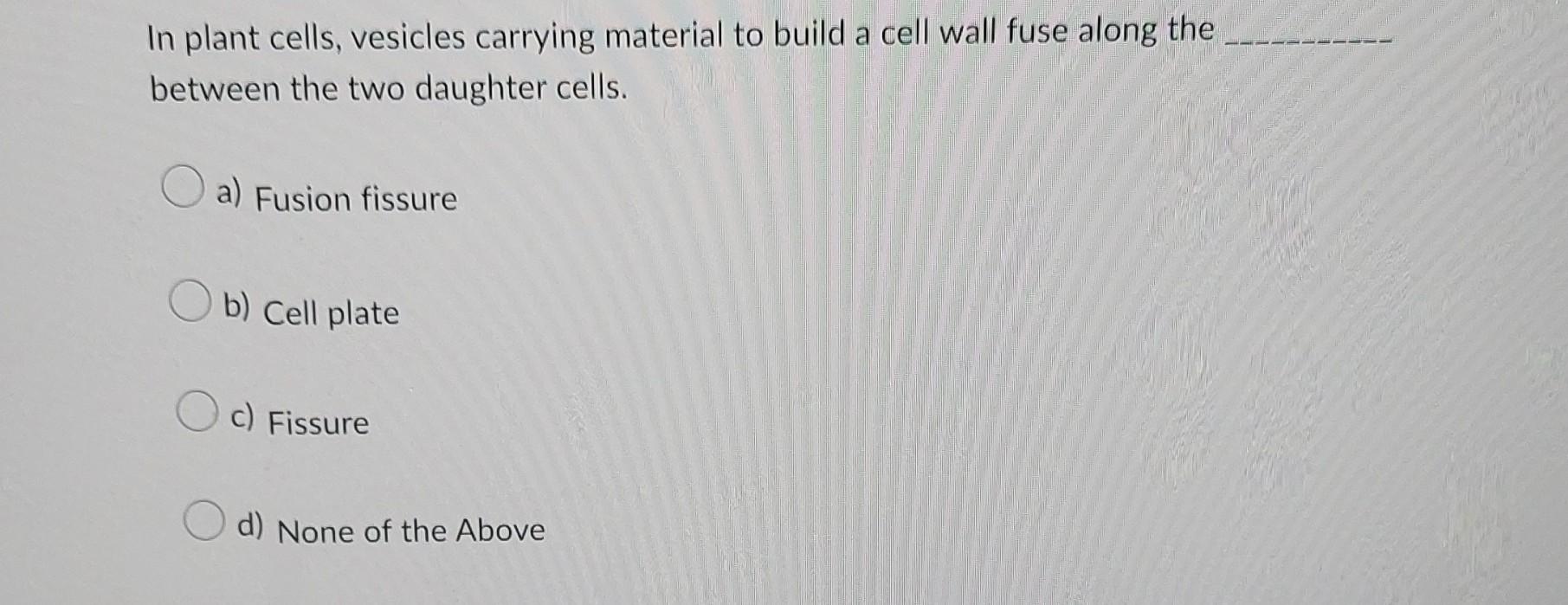 In Plant Cells Vesicles Carrying Material To Build A Cell Wall Fuse Along The Between The Two Daughter Cells A Fusion 1