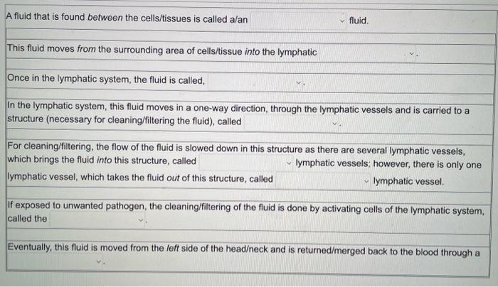 Arterial System Extra Fluids Draining From Cells And Tissues Heart Venous System Capillary Cleveland Clinic 02019 A Flu 2