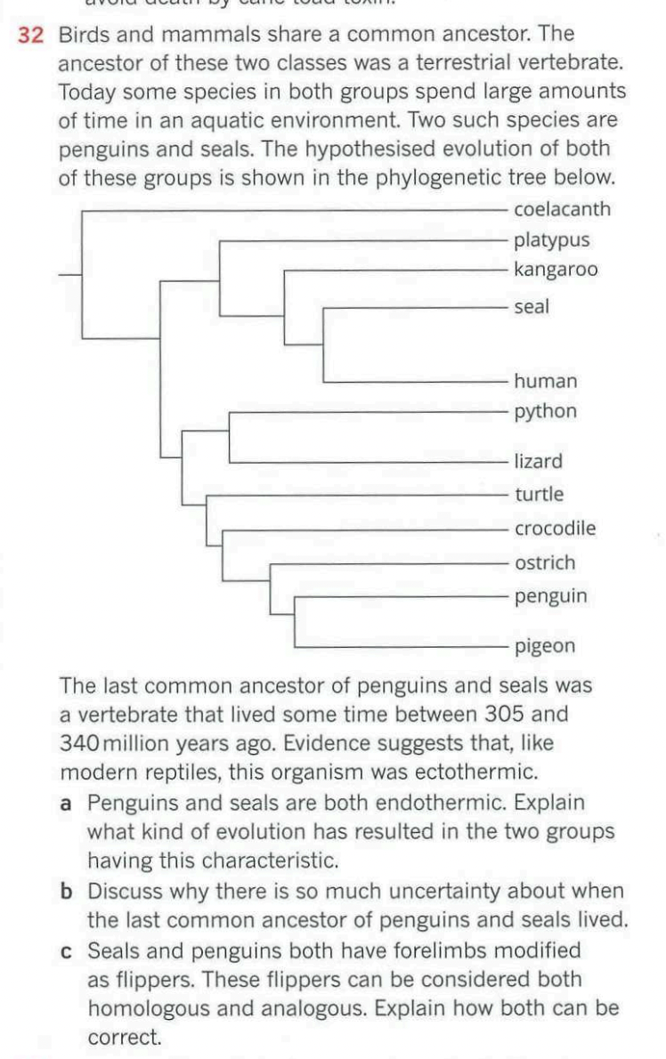 32 Birds And Mammals Share A Common Ancestor The Ancestor Of These Two Classes Was A Terrestrial Vertebrate Today Some 1