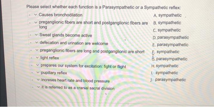 Please Select Whether Each Function Is A Parasympathetic Or A Sympathetic Reflex Causes Bronchodilation A Sympatheti 1