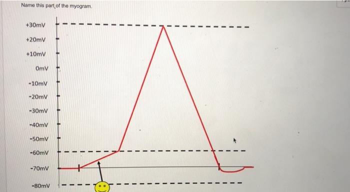 Name This Part Of The Myogram 30mv 20mv 10mv Omv 10mv 20mv 30mv 40mv 50mv 60mv 70mv 80mv A Threshold O A 3