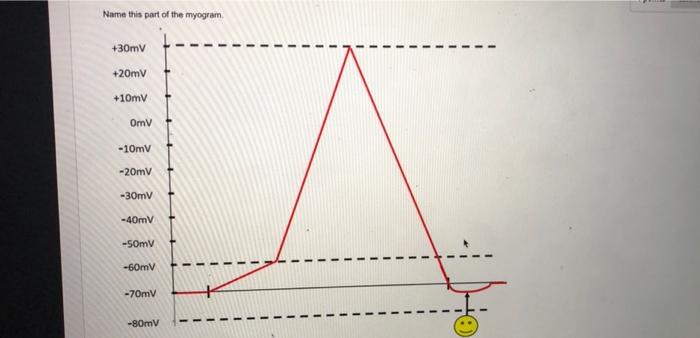 Name This Part Of The Myogram 30mv 20mv 10mv Omv 10mv 20mv 30mv 40mv 50mv 60mv 70mv 80mv A Threshold O A 5