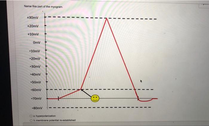 Name This Part Of The Myogram 30mv 20mv 10mv Omv 10mv 20mv 30mv 40mv 50mv 60mv 70mv 80mv A Threshold O A 7