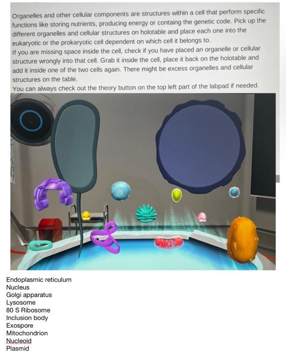 Organelles And Other Cellular Components Are Structures Within A Cell That Perform Specific Functions Like Storing Nutri 1