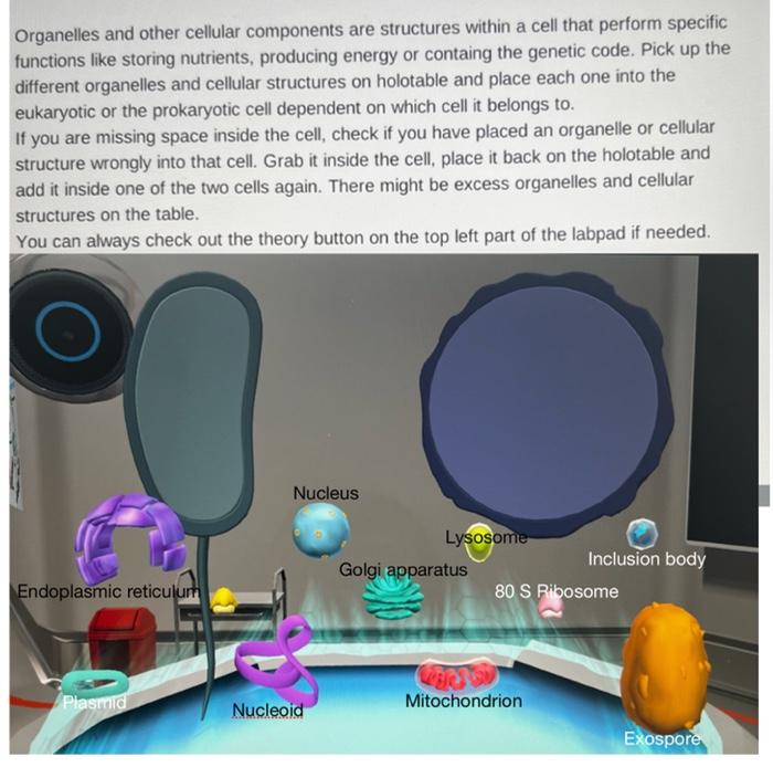 Organelles And Other Cellular Components Are Structures Within A Cell That Perform Specific Functions Like Storing Nutri 1