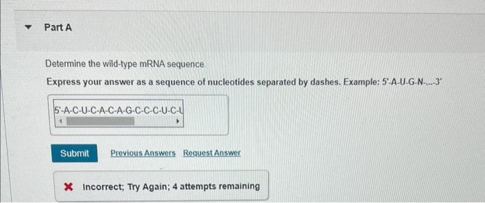A Fragment Of A Wild Type Polypeptide Is Sequenced For Seven Amino Acids The Same Polypeptide Region Is Sequenced In Fo 2