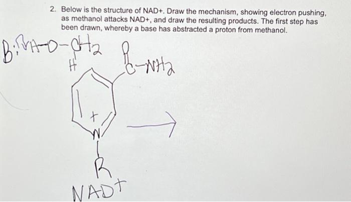 2 Below Is The Structure Of Nad Draw The Mechanism Showing Electron Pushing As Methanol Attacks Nad And Draw The 1