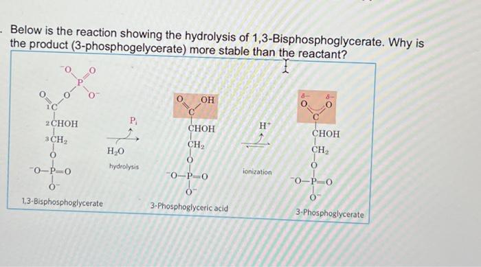 Below Is The Reaction Showing The Hydrolysis Of 1 3 Bisphosphoglycerate Why Is 3 Phosphogelycerate More Stable Than 1