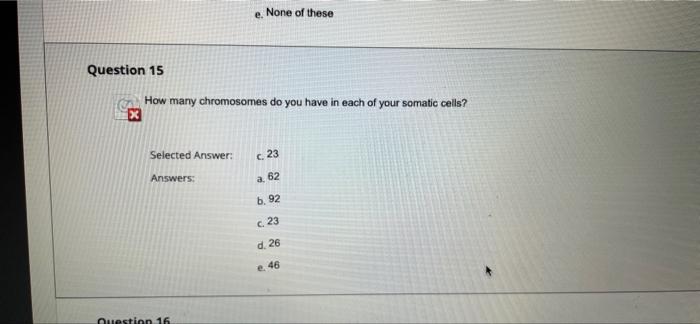 Question 5 X Selected Answer Answers D Replication In Prokaryotes Differs From Replication In Eukaryotes Because Quest 2
