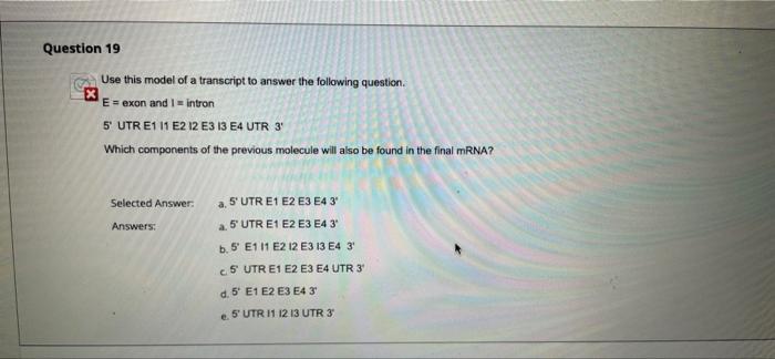 Question 5 X Selected Answer Answers D Replication In Prokaryotes Differs From Replication In Eukaryotes Because Quest 3