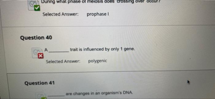 Selected Answer Codon Question 50 Is A 3 Base Code To Produce A Specific Amino Acid What Describes The Locus Of A Gene 4